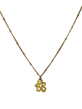 Bloom ketting