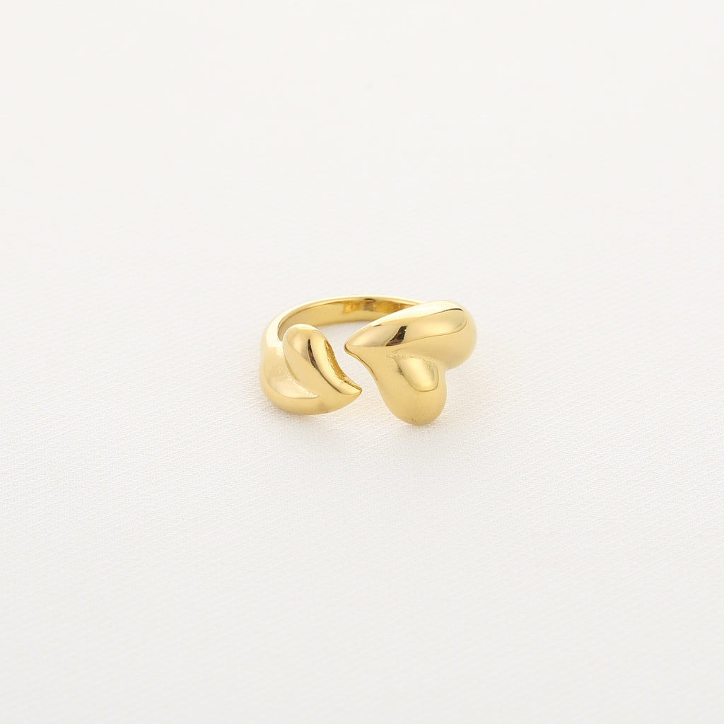 Double heart ring